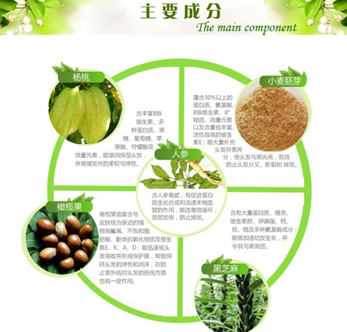 楊桃絲滑護發素 300ml 2