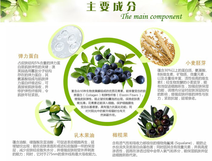 藍(lán)莓嫩膚緊致彈力霜 50g