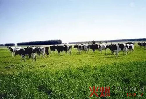 СRԿJOίxЙCʳƷ˜ʡ