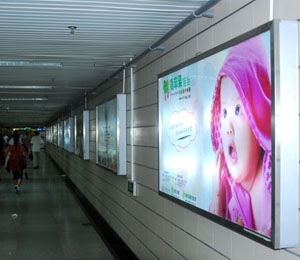 青蘋果店面風采