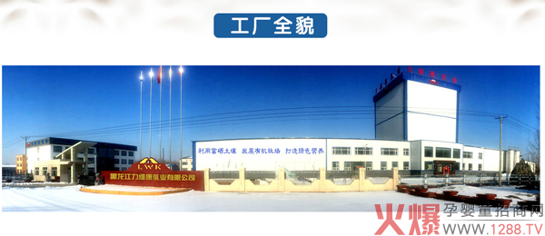 ؐƝţţһͺ䷽̷ IB¸oo