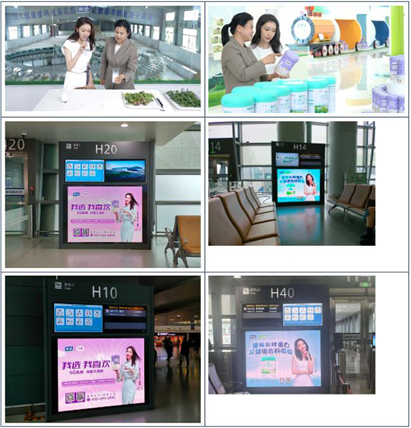 圖片5.jpg 圖片5.jpg