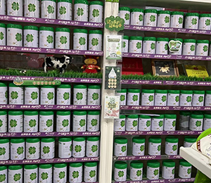 華丹奶粉終端展示 (4)