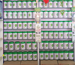 華丹奶粉終端展示 (14)