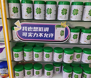 華丹奶粉終端展示 (3)