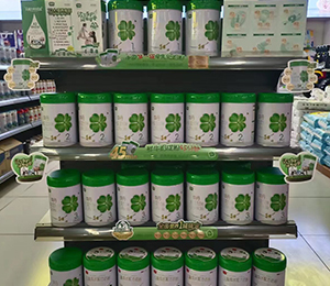 華丹奶粉終端展示 (6)