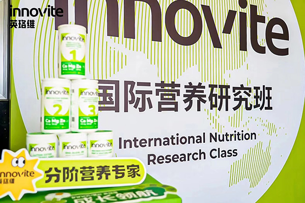 ӢSINNO-INRCHIBоʮڡuվAMY