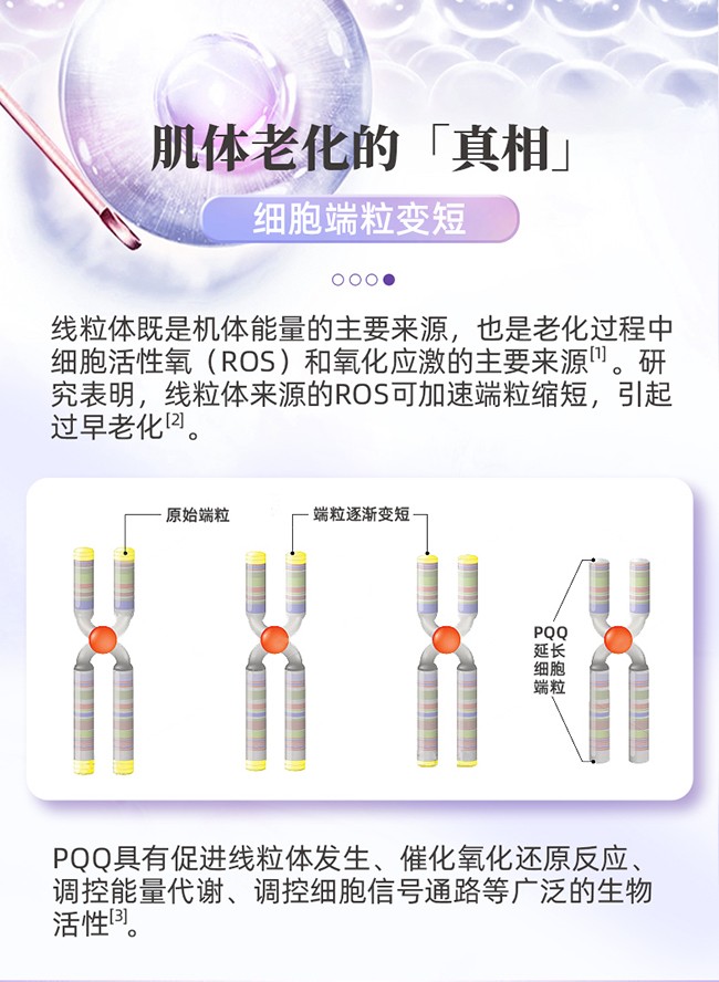 呀啦嗦PQQ蟲(chóng)草原花青素時(shí)光飲詳情 (5).jpg