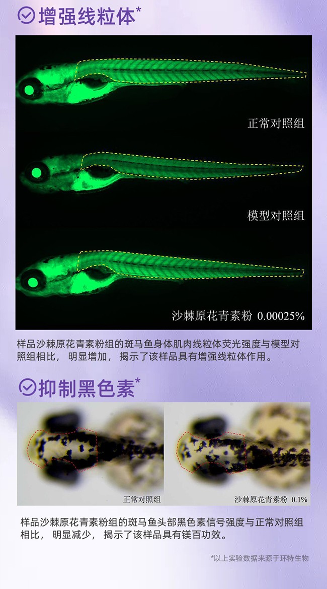 呀啦嗦PQQ蟲(chóng)草原花青素時(shí)光飲詳情 (8).jpg