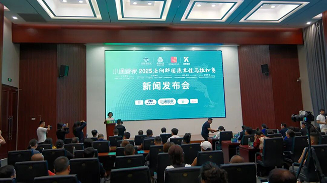 n|2025R112_̩Iȫِ³