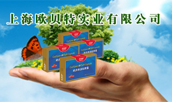 �Ϻ��Wؐ�،��I���޹�˾