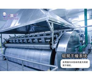 多能多輥筒干燥系統(tǒng)