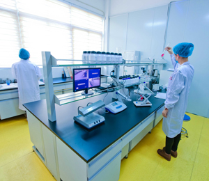 雀兒喜公司工廠照