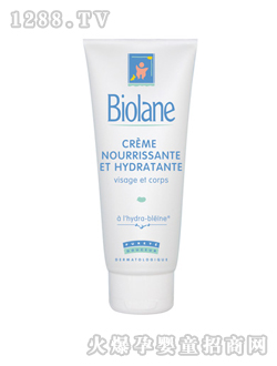 ��ؐ���냺���w���B������